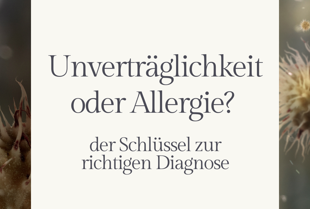 Unverträglichkeit oder Allergie? Der Schlüssel zur richtigen Diagnose