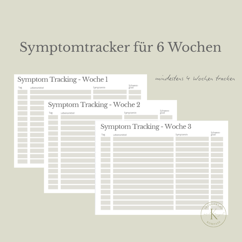 Symptomtagebuch Pro inkl. Analyse und Ernährungsplan – Bild 4